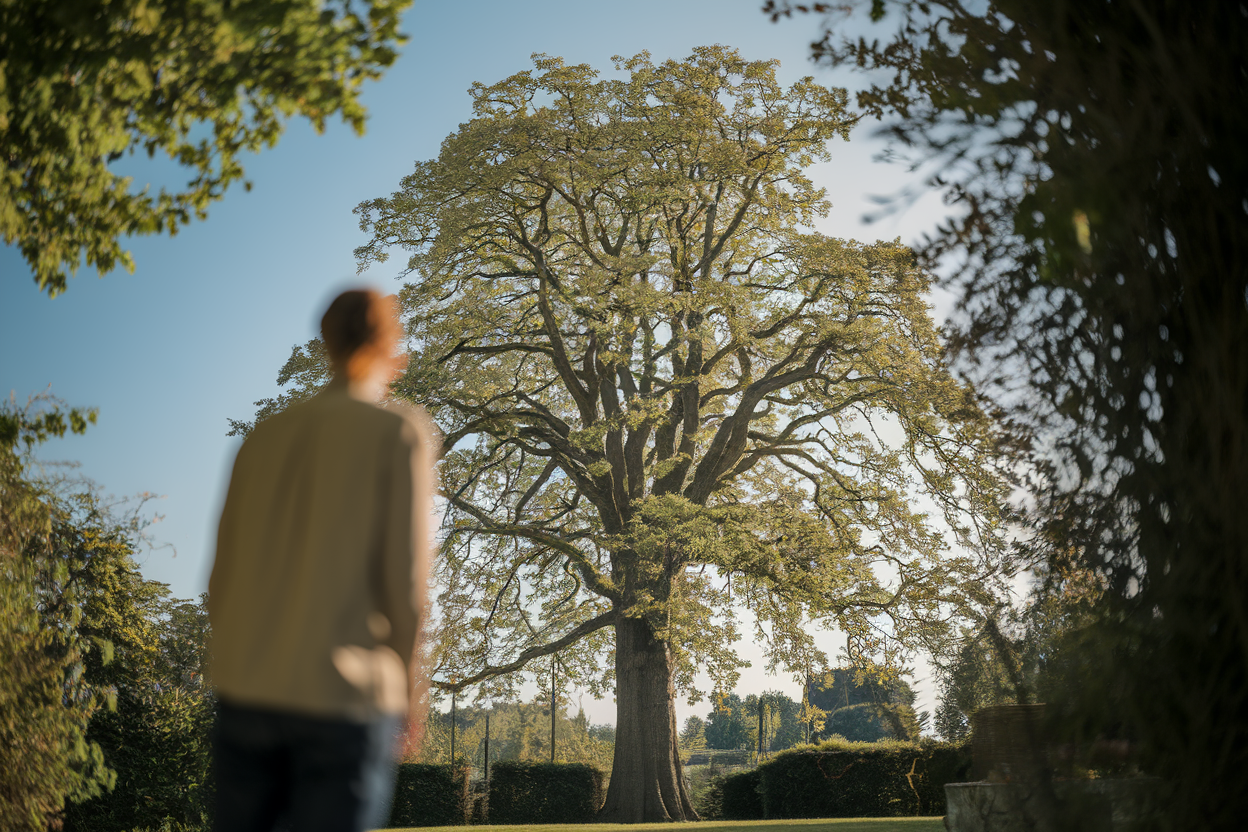 arbre-majestueux-personne-floue-jardin